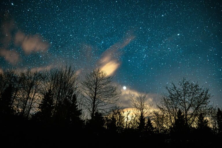 Destiny Has Packed Its Bags